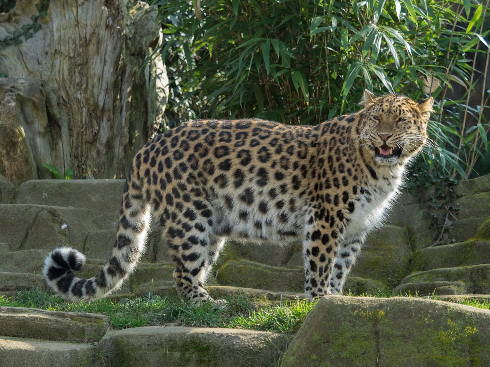 Engaging the Next Generation (image credits: wikimedia)