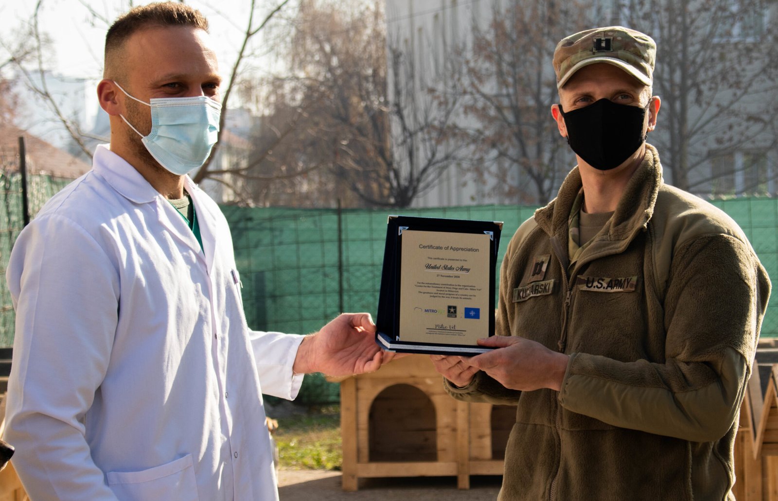 Ensure Regular Vet Visits (image credits: wikimedia)
