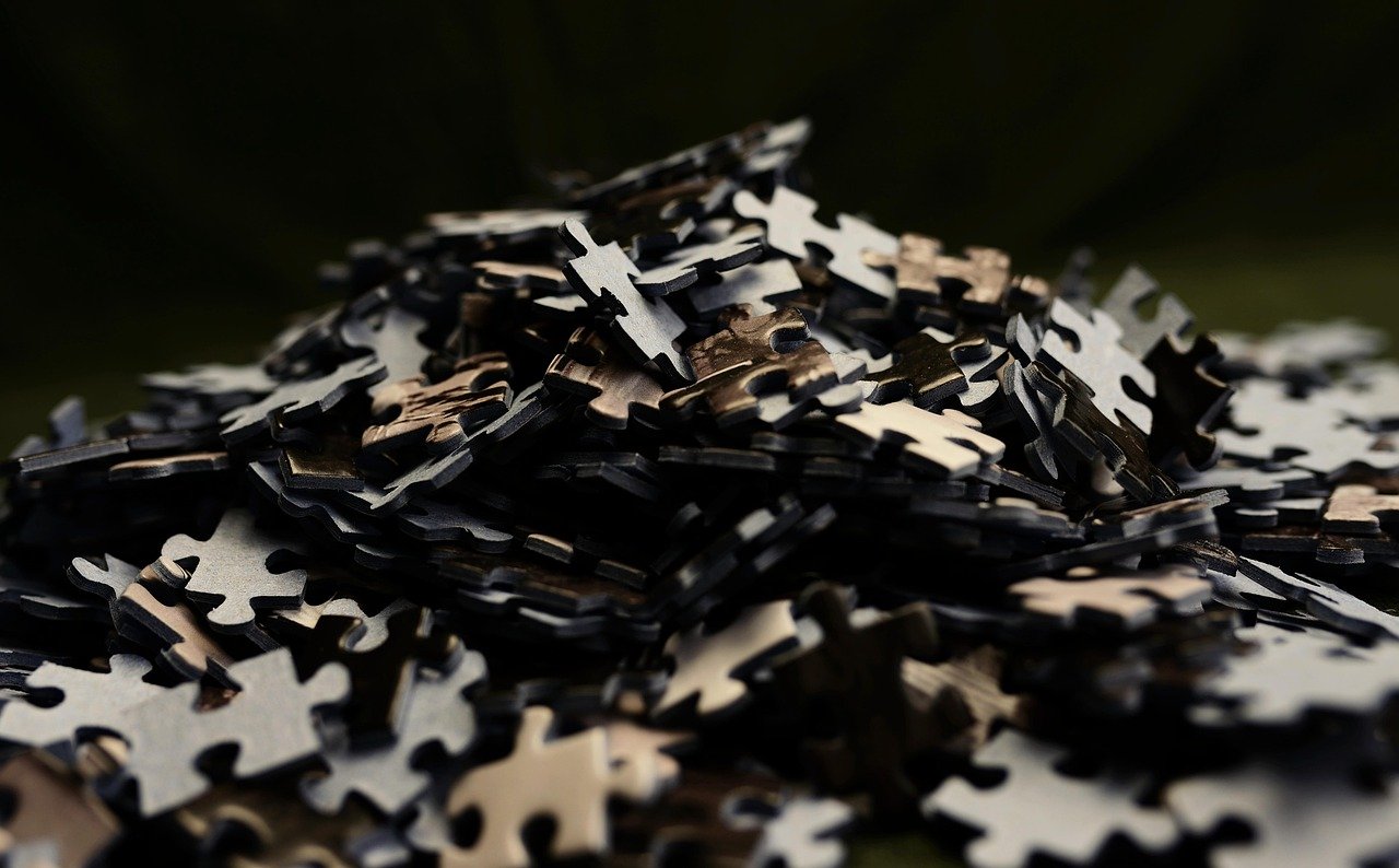 Understanding the Benefits of Puzzle Feeders (image credits: pixabay)