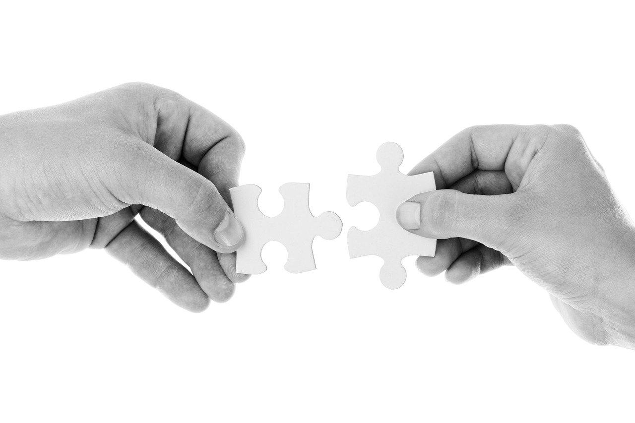 Designing Your Puzzle Feeder (image credits: pixabay)