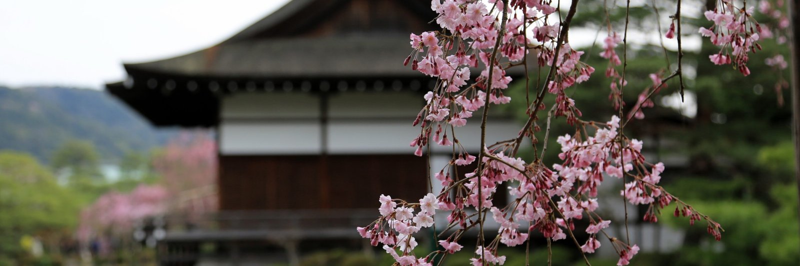 Kyoto (image credits: wikimedia)