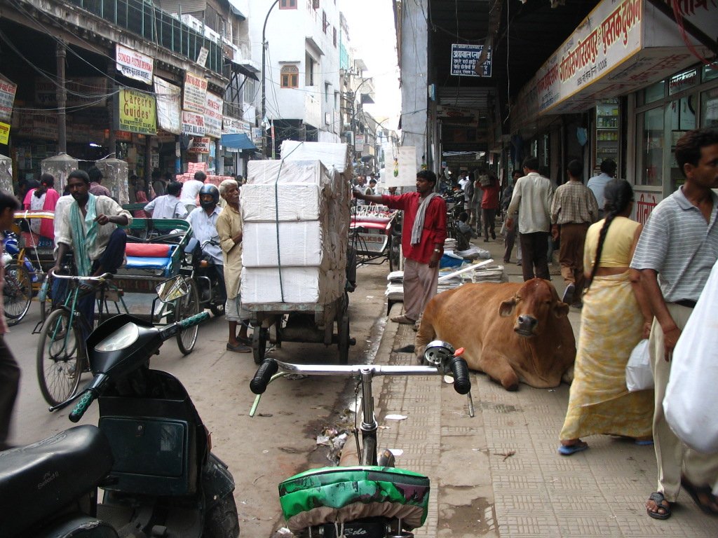Delhi (image credits: wikimedia)
