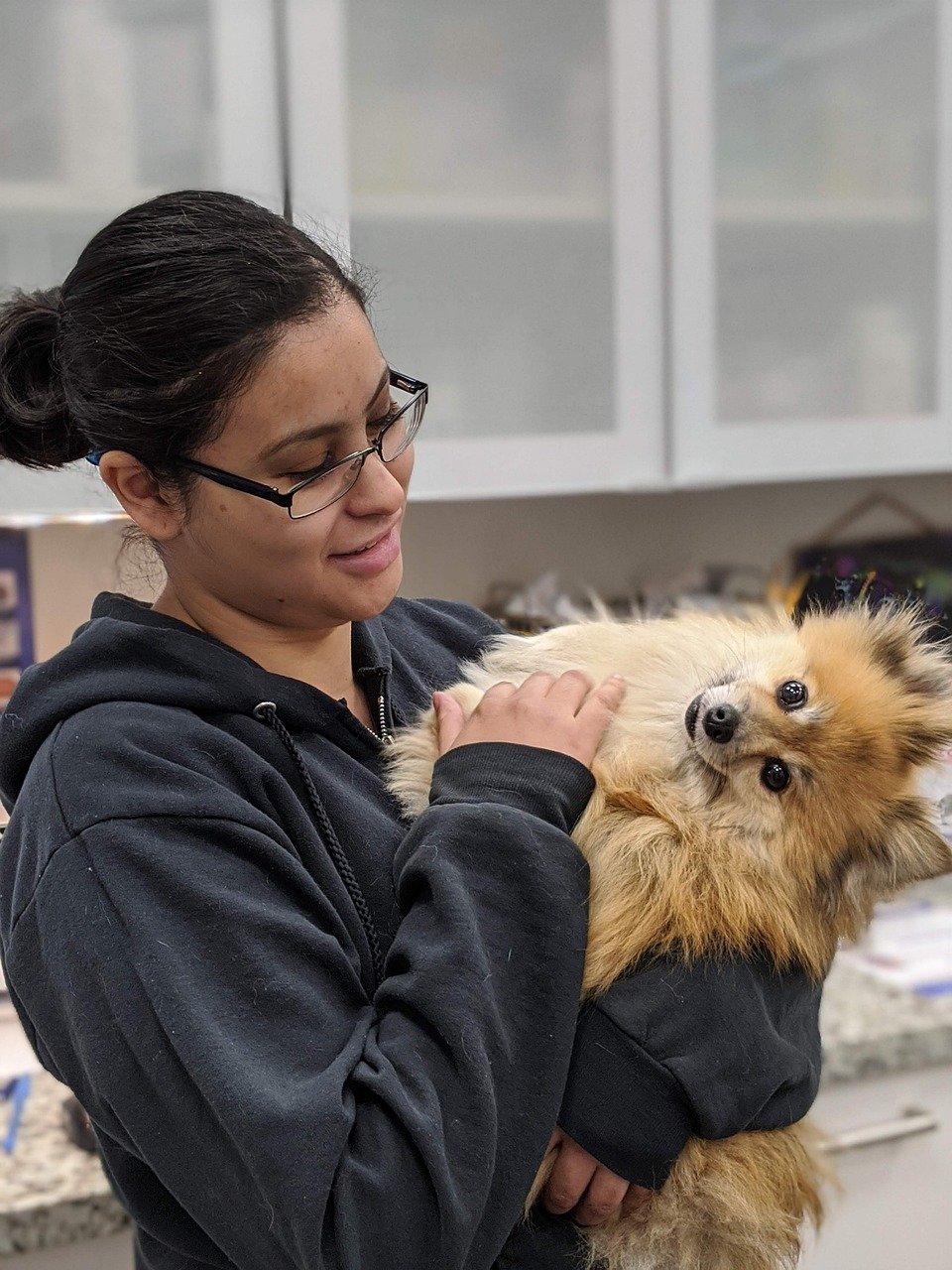 Utilize Low-Cost Vet Clinics (image credits: pixabay)