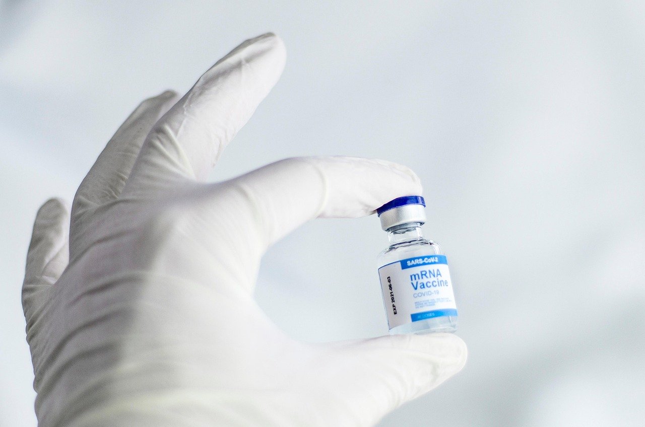 Keep Vaccination Records Updated (image credits: pixabay)