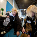 7 Ways to Lower Vet Costs Without Compromising Care