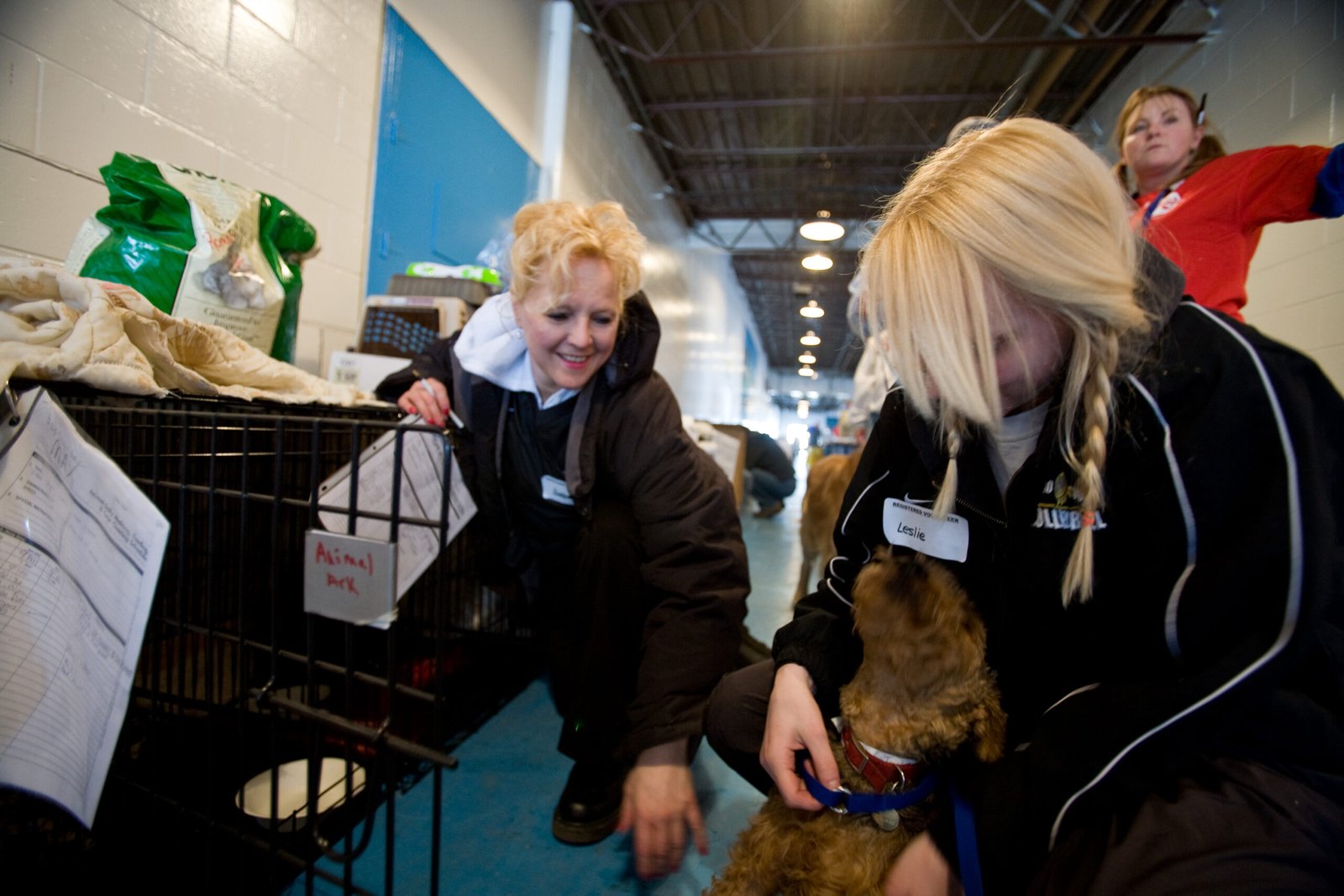 7 Ways to Lower Vet Costs Without Compromising Care
