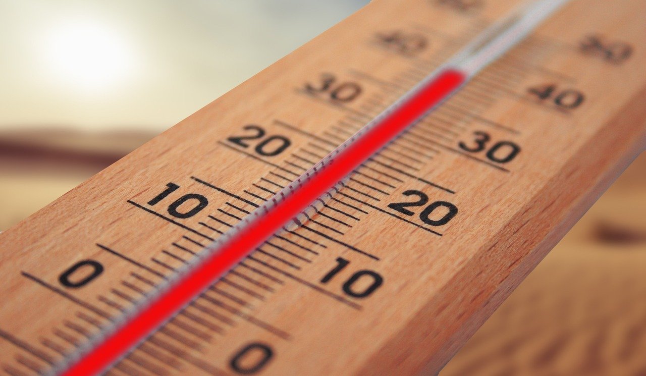 Responding to Temperature Changes (image credits: pixabay)