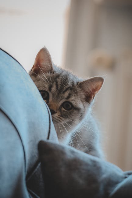 The Shy Observer (image credits: pexels)
