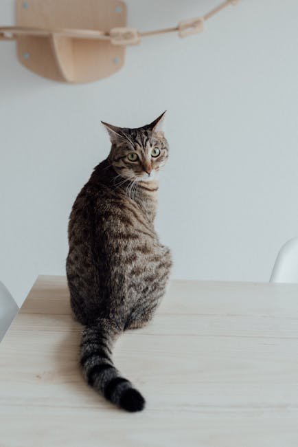 4. Tail Quivering with Delight (image credits: pexels)