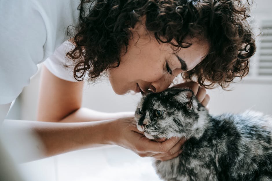 7. Rubbing Against You with Affection (image credits: pexels)