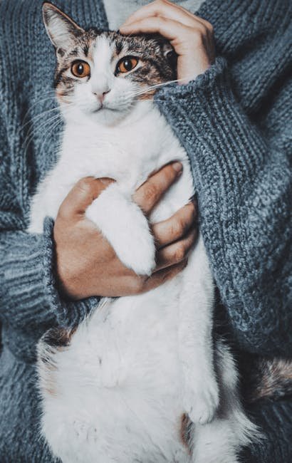9. Sharing Their Belly with You (image credits: pexels)