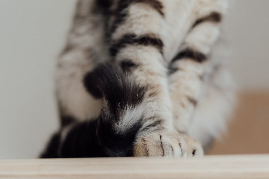 Kneading (image credits: pexels)