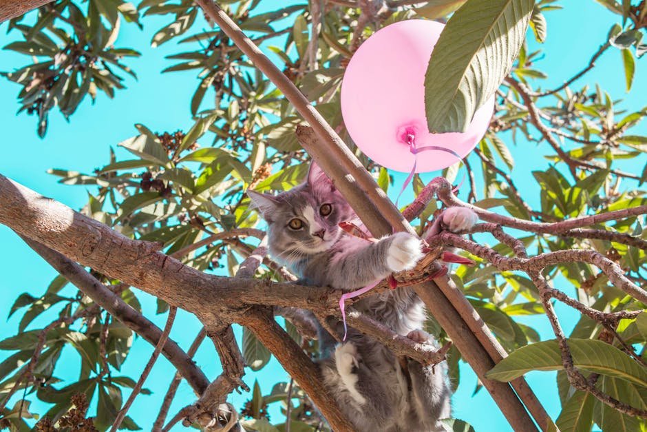 Restricted Climbing and Scratching Opportunities (image credits: pexels)