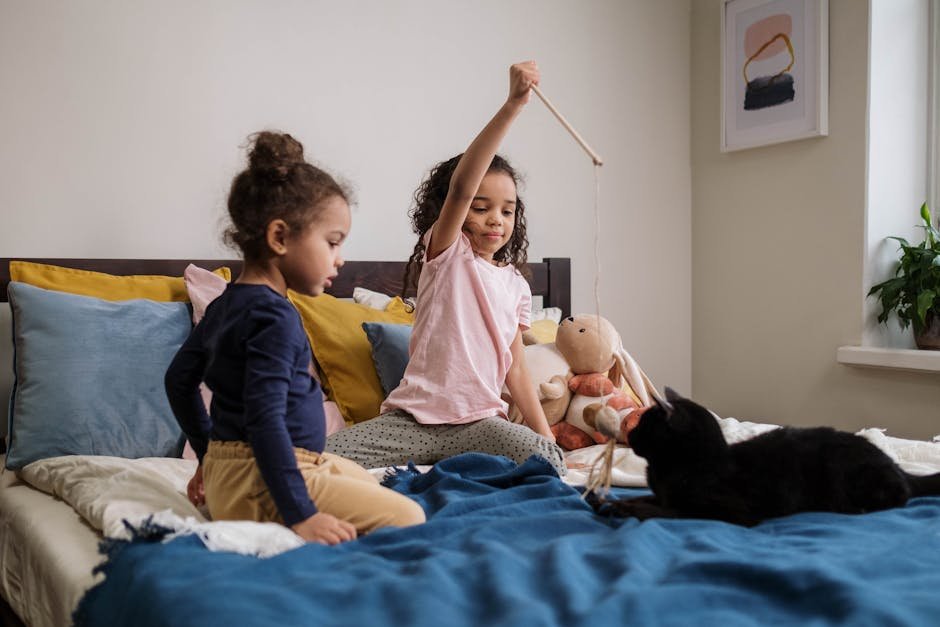 Engage in Interactive Play (image credits: pexels)