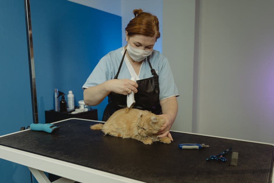 Consulting with a Veterinarian (image credits: pexels)
