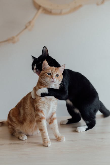 4. Head Butting (image credits: pexels)