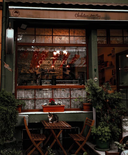 Neko Café TiME, Tokyo, Japan (image credits: pexels)