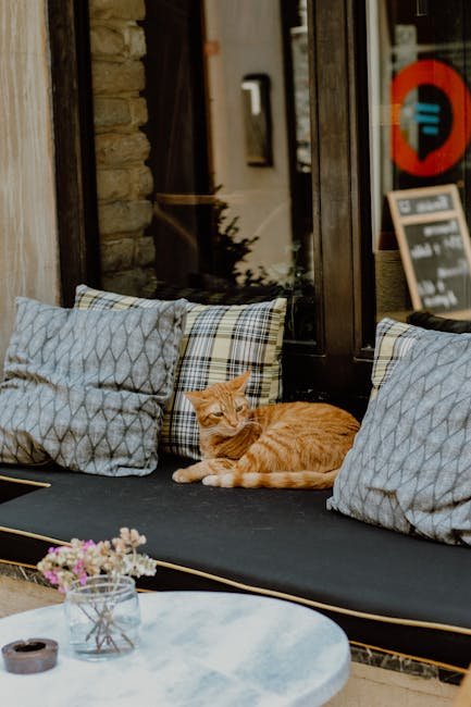 Café Neko, Vienna, Austria (image credits: pexels)