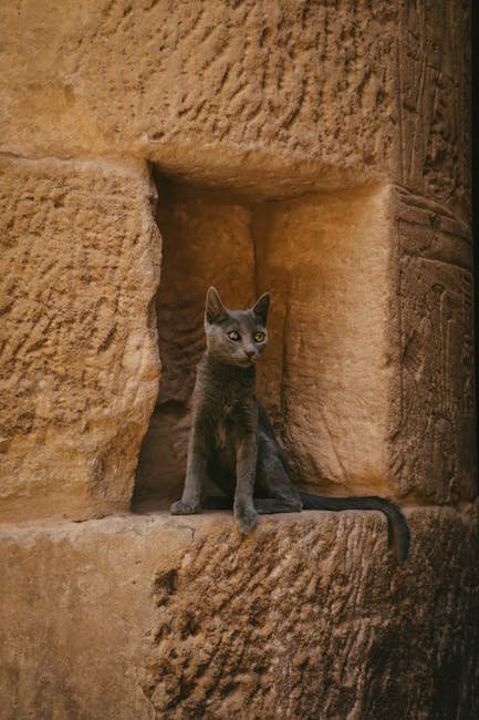Luxor's Temple of Bastet, Egypt (image credits: pexels)