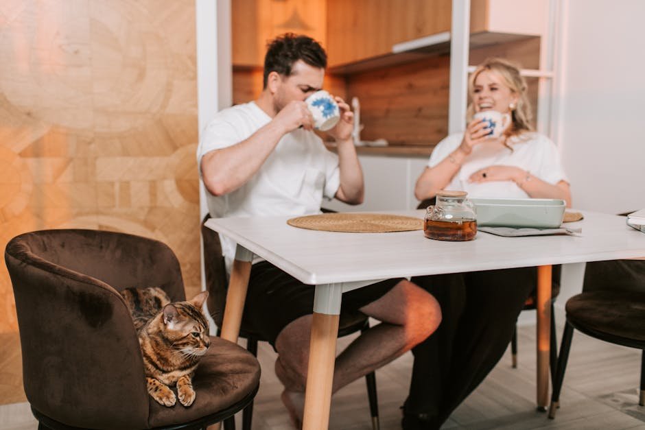 Breakfast at Tiffany’s: Cat's Unexpected Exit (image credits: pexels)