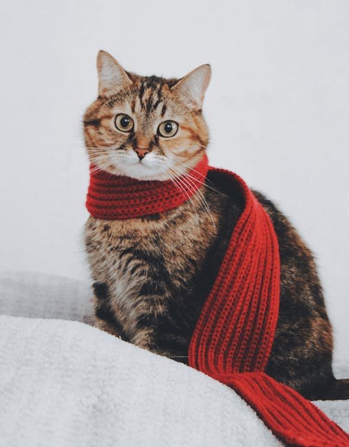 The Secret Life of Pets: Chloe's Mischief (image credits: pexels)