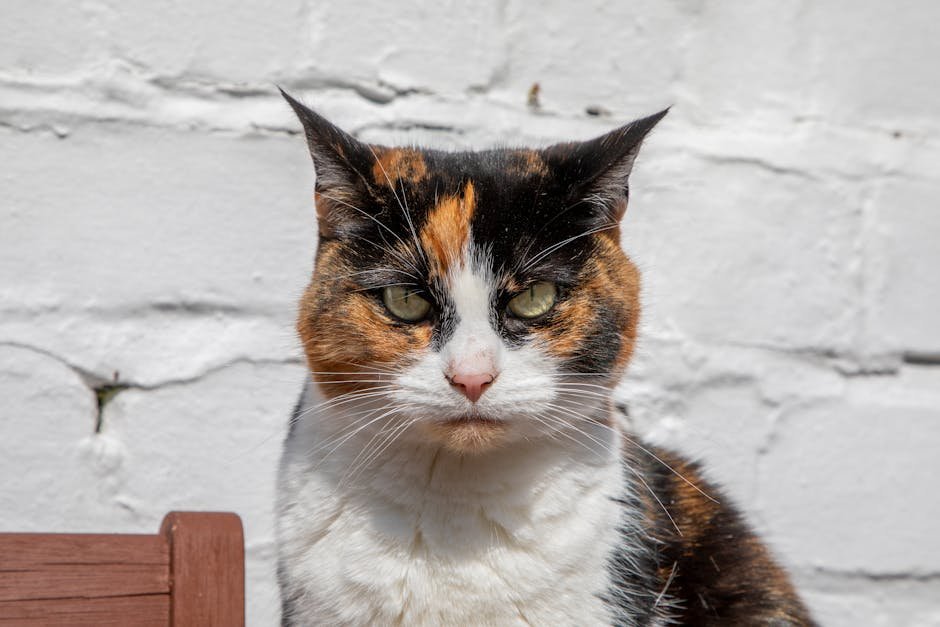 Share Supplies with Friends (image credits: pexels)