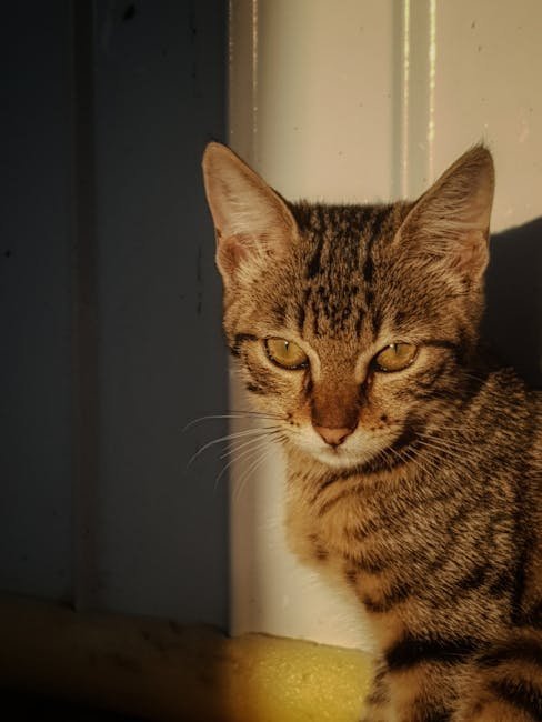 Create a Budget and Stick to It (image credits: pexels)