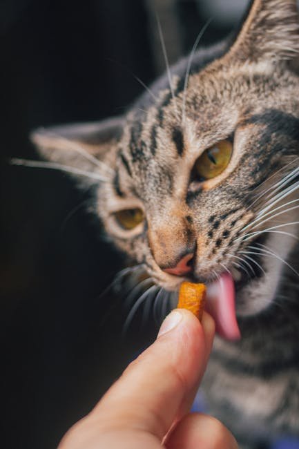 Understanding Your Cat's Unique Dietary Needs (image credits: pexels)