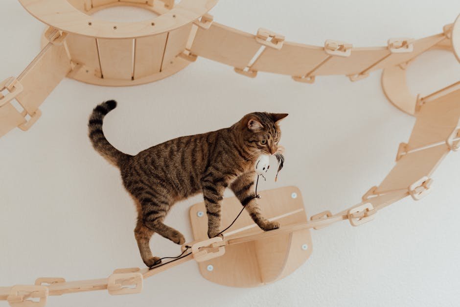 Obstacle Course Challenges (image credits: pexels)