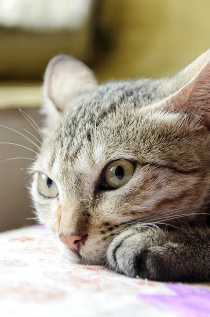 Being Patient and Understanding (image credits: pexels)