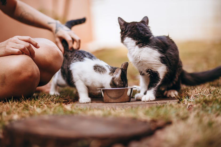 Head Butting: A Sign of Affection (image credits: pexels)