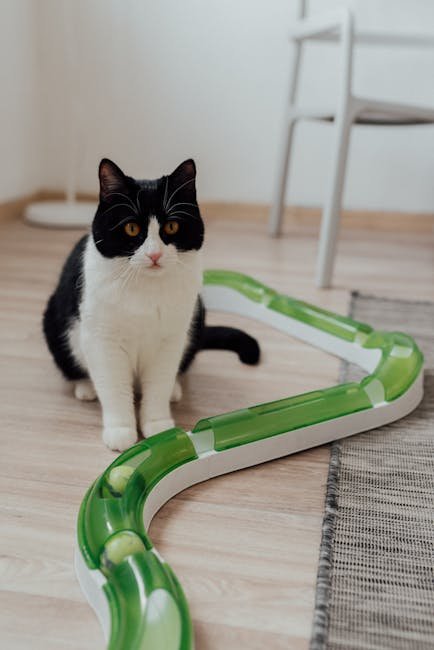Motion-Activated Feather Toys (image credits: pexels)