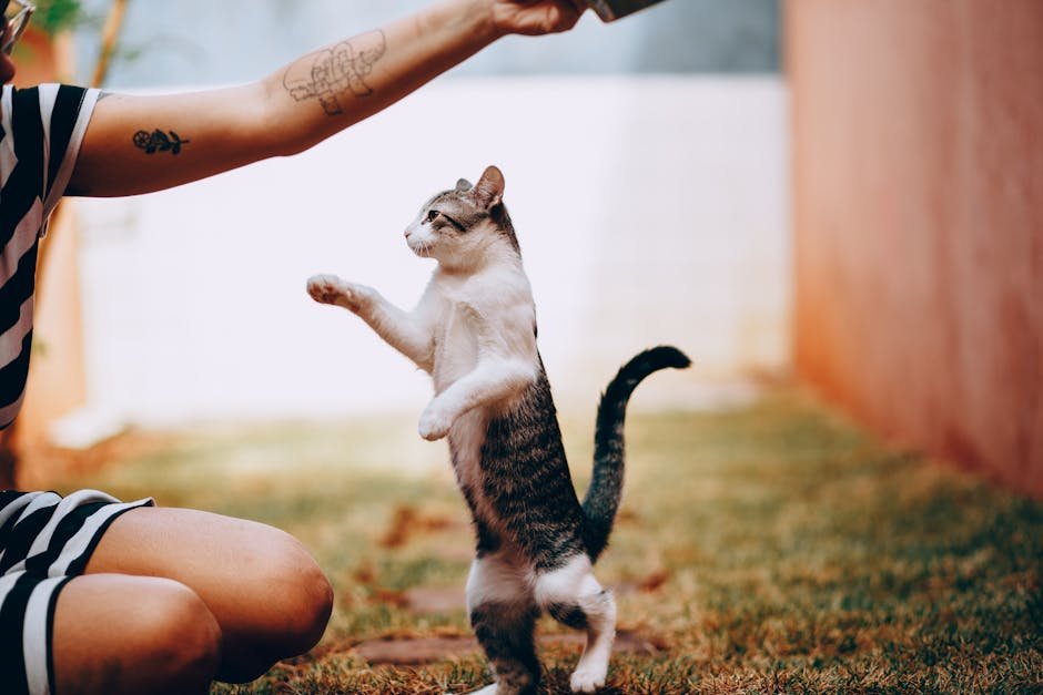 Incorporating Training Into the Routine (image credits: pexels)