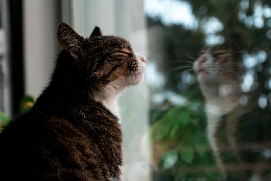 Reflecting on the Day Together (image credits: pexels)
