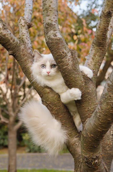 Encouraging Natural Behaviors (image credits: pexels)