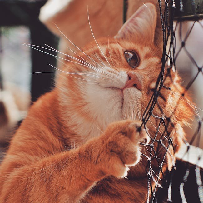 Addressing Behavioral Challenges (image credits: pexels)