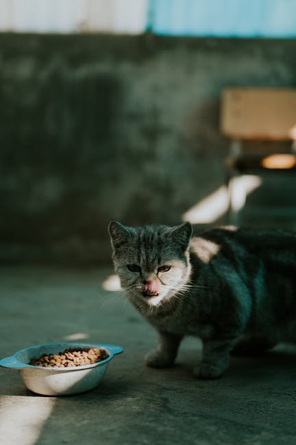 Diet and Nutrition's Role in Allergies (image credits: pexels)