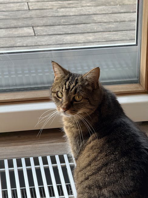 Monitoring Your Cat's Behavior (image credits: pexels)