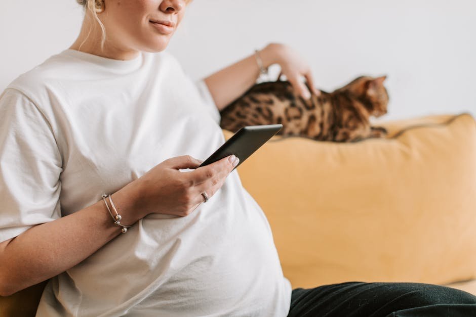 The Hidden World of Feline Scent Communication (image credits: pexels)