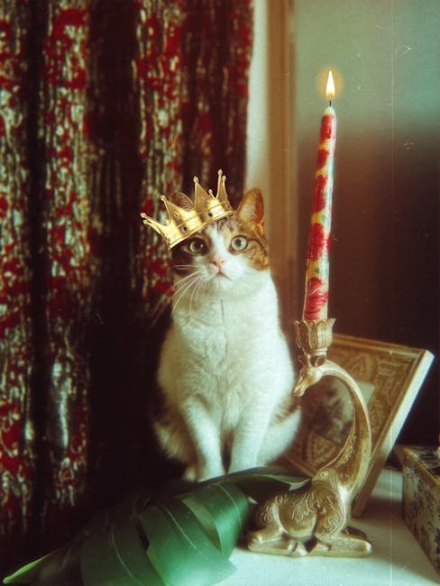 CatCon: The Ultimate Cat Lover's Convention (image credits: pexels)
