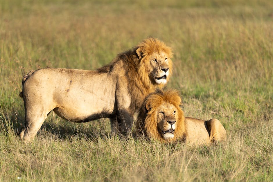 4. Maasai Mara, Kenya (image credits: pexels)