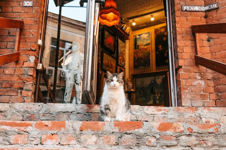 The Cat Art Museum in St. Petersburg, Russia (image credits: pexels)