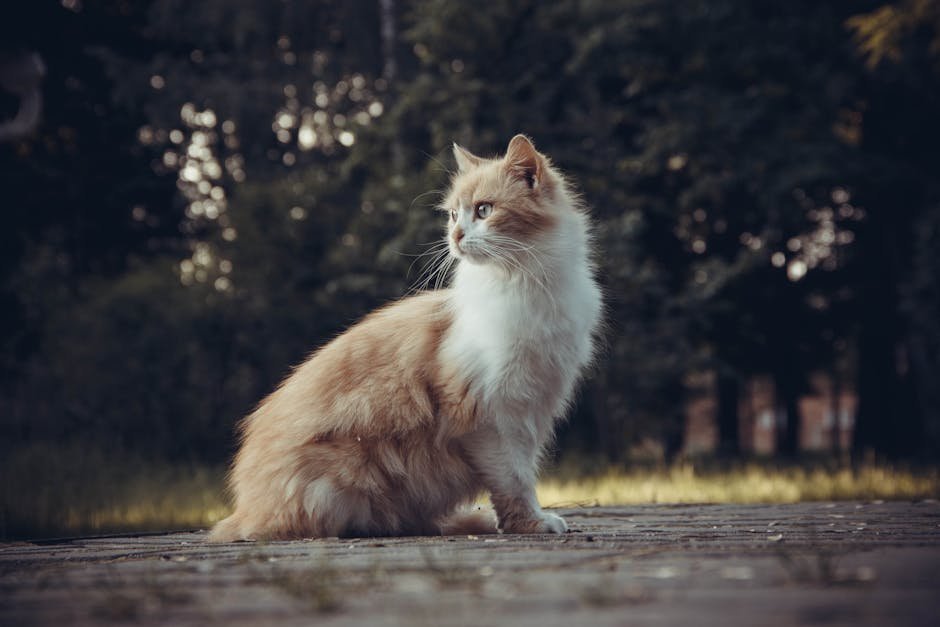 Introducing Changes in a Positive Manner (image credits: pexels)