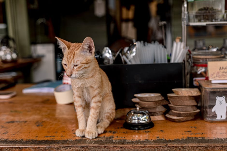Socialization Skills: The Sociable Breeds (image credits: pexels)