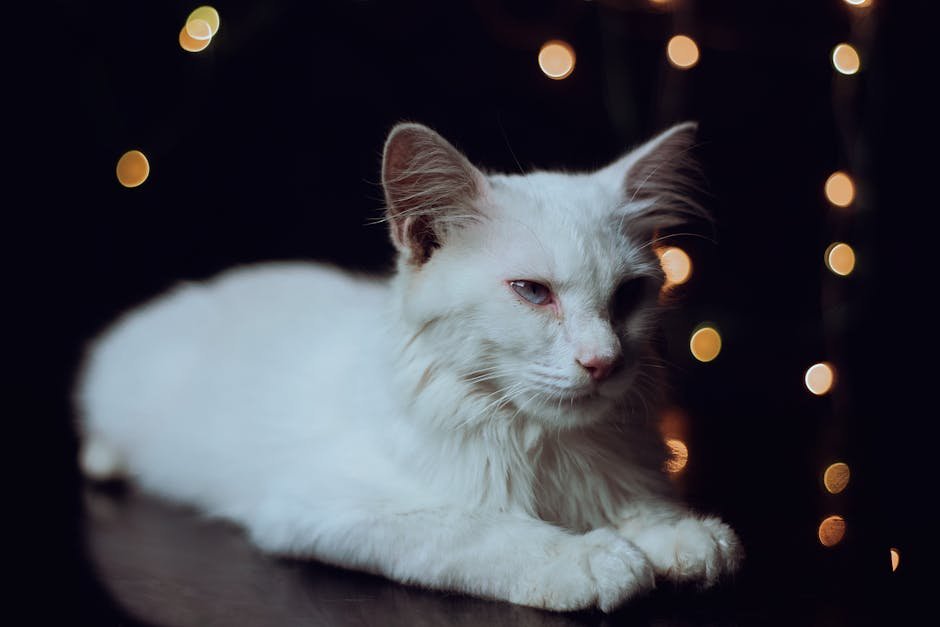 Compatibility with Other Pets (image credits: pexels)