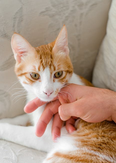 Assess Their Interaction with You (image credits: pexels)