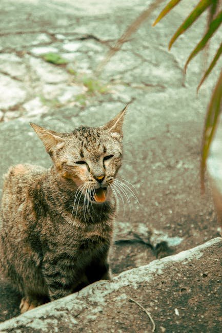 Evaluate Their Reaction to Loud Noises (image credits: pexels)