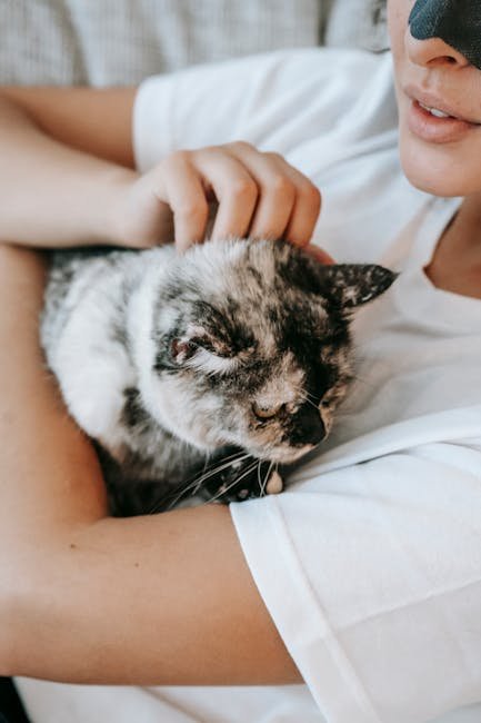 Consider Their Reaction to Routine Changes (image credits: pexels)