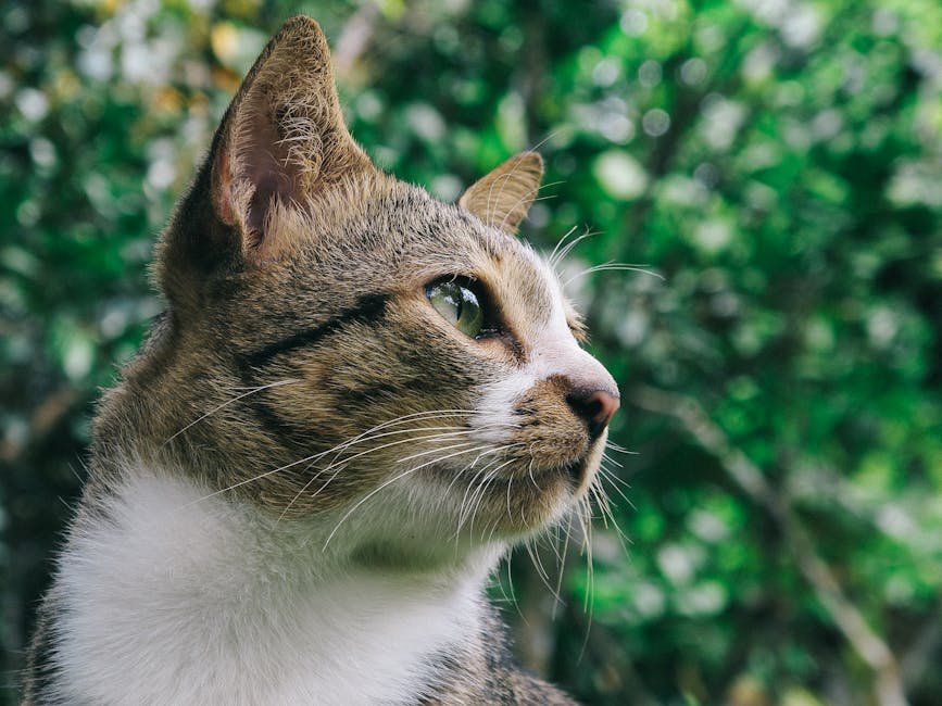 Instinctual Nesting Behavior (image credits: pexels)