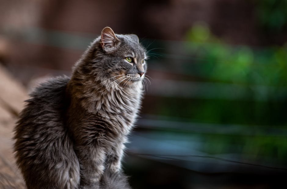Considering Professional Help (image credits: pexels)